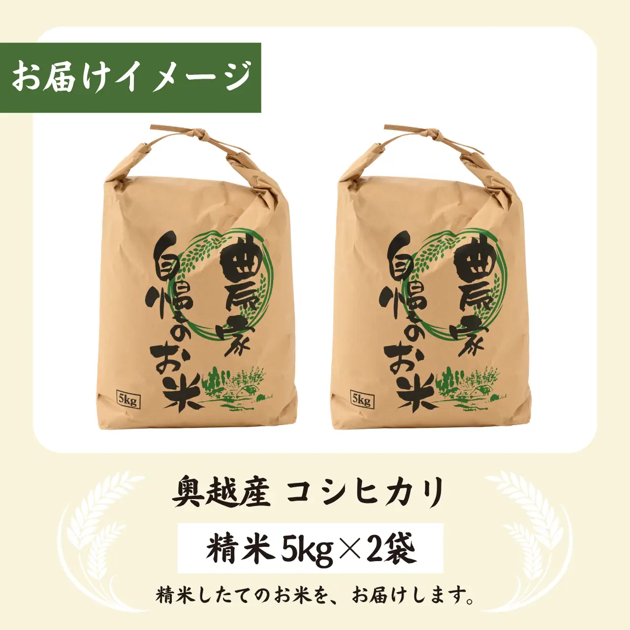 精米 奥越産コシヒカリ10㎏（精米 5㎏×2）先行予約