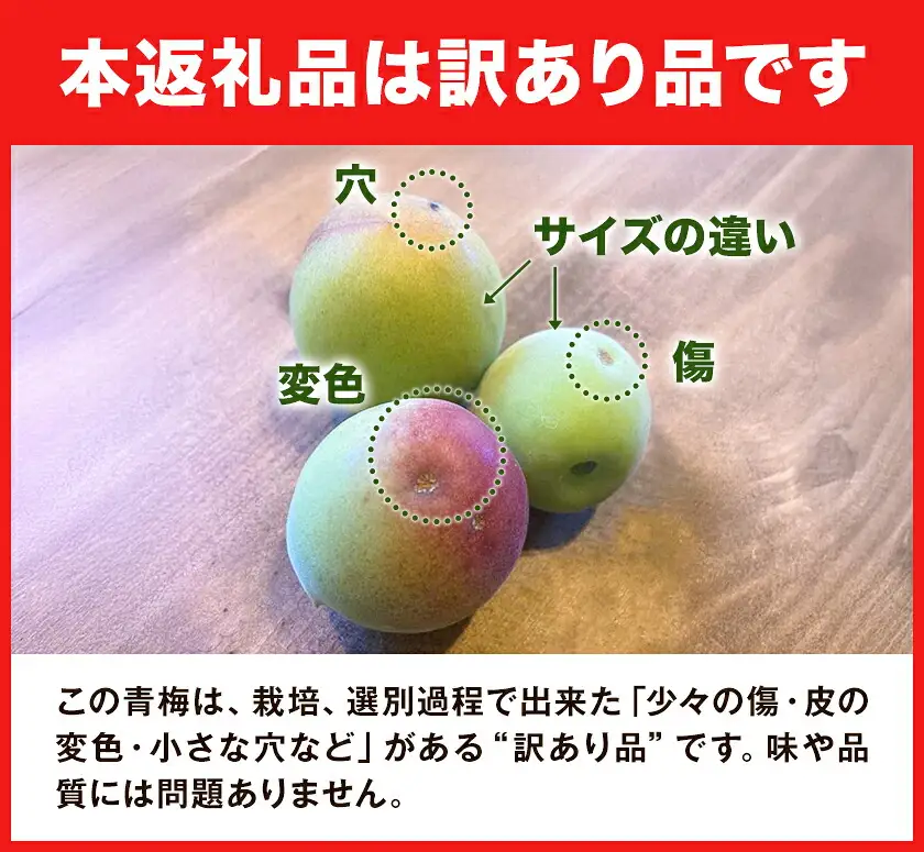 梅 訳あり 青梅 5kg 