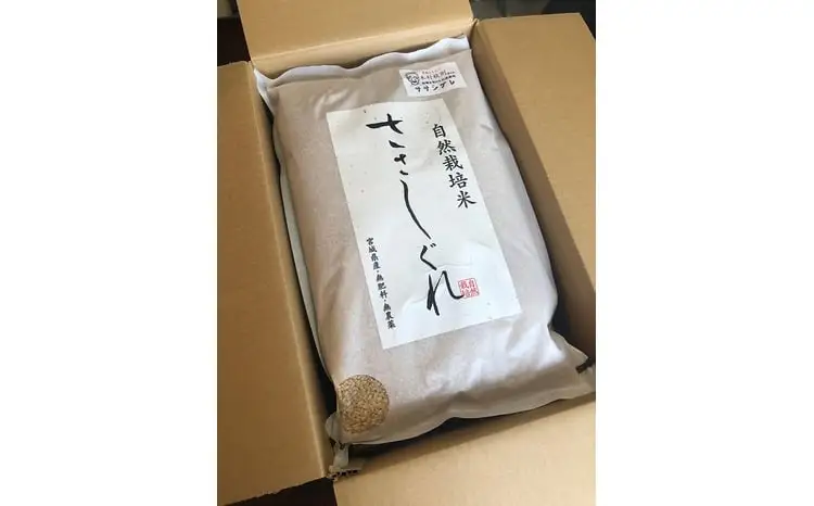 【新米予約】《 希少品種米 》 米 令和8年 宮城県産 ササシグレ ( 栽培期間中農薬・肥料不使用 ) 精米 白米 10kg 無農薬｜nt-ss10-r8 