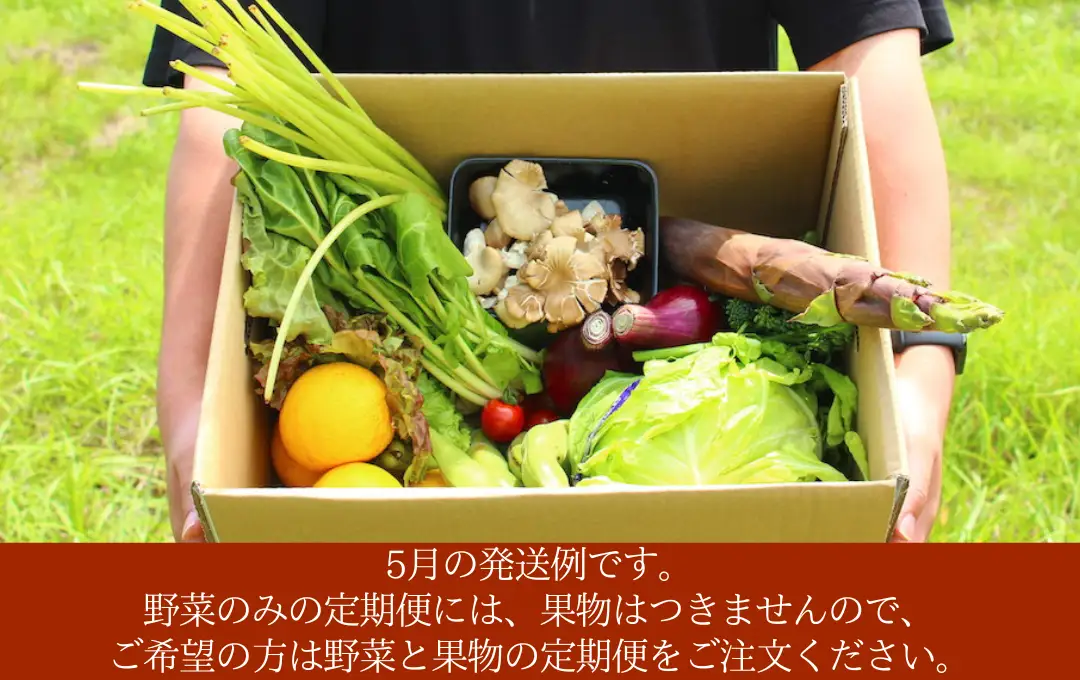 季節の野菜セット 2回 野菜定期便