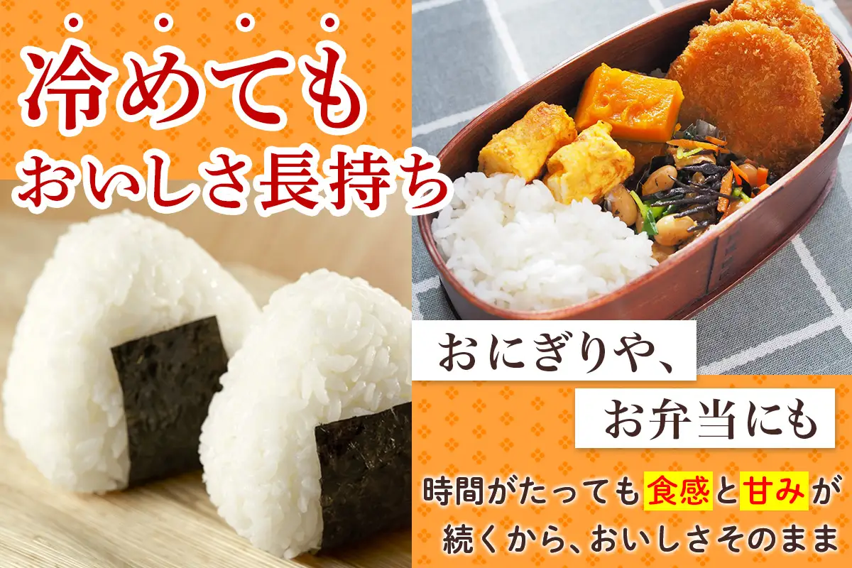 令和8年産 つがる市産 はれわたり 白米／玄米 5kg [1071]