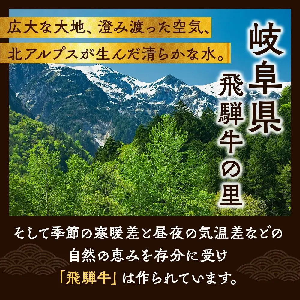 飛騨牛 赤身ステーキ（ランプまたはイチボ） 約200g×2枚