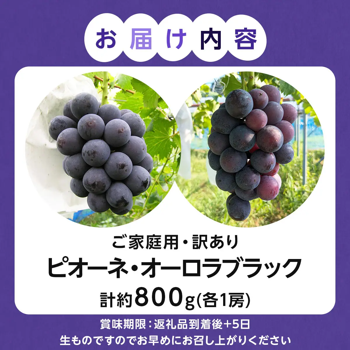 【ご家庭用・訳あり品】オーロラブラック・ピオーネ　約800g（2房入）