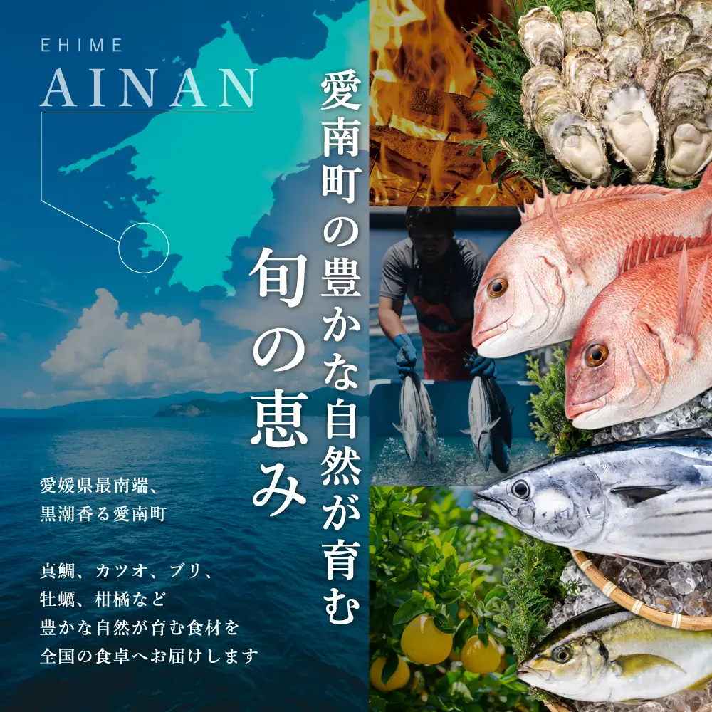 【白金台　フレンチ】ラリューム「愛南町スペシャルコース」食事券2名様