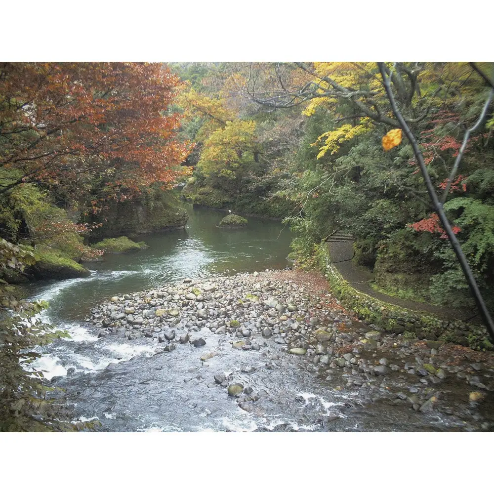 【白鷺湯たわらや】平休日1泊2食付　ペア宿泊券《和室》