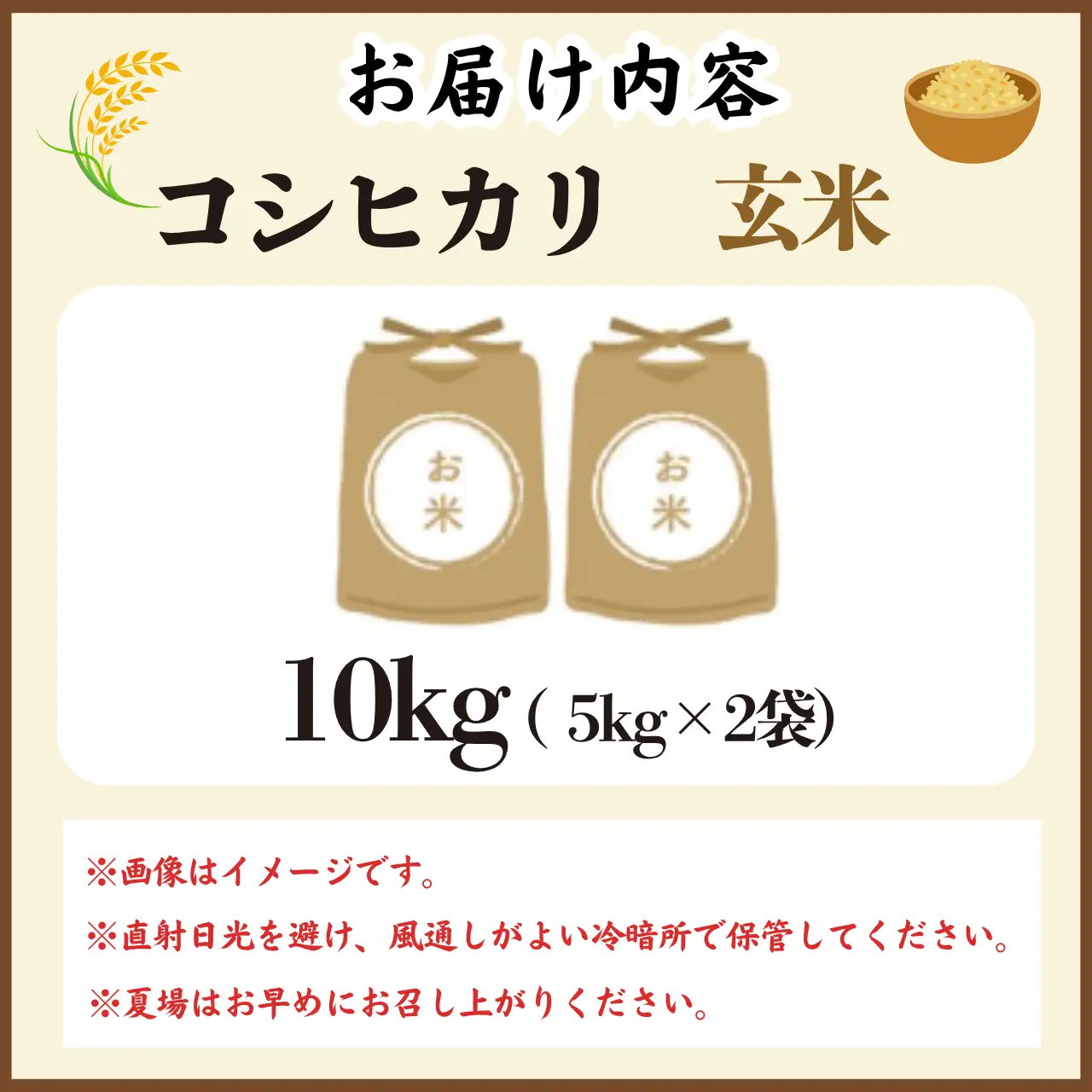 玄米 勝山産 コシヒカリ 玄米 10kg（5kg×2袋）【先行予約】