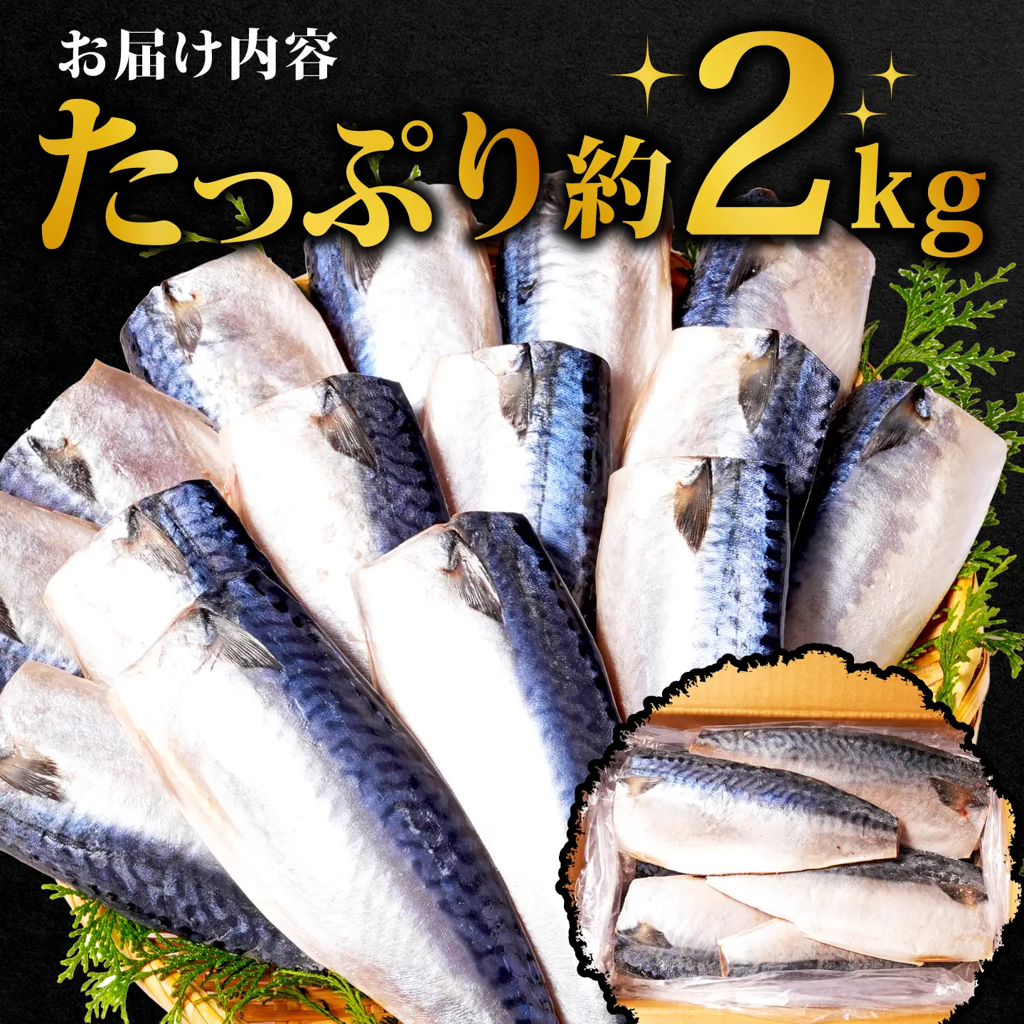訳あり 国産 塩さば 2kg さば