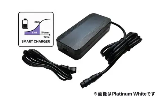 ＜ R8年熊本地震復興支援 ＞【 Ebony Black （ 99.Y5B64.602 ） 】 BESV PSF2 折りたたみ 電動アシスト自転車 20インチ ミニベロ 電動自転車 電動アシストバイク 電動アシスト 電動 アシスト 折りたたみ電動アシストバイク 折りたたみ自転車 コンパクト スタイリッシュ 日常使い 通勤 通学 街乗り