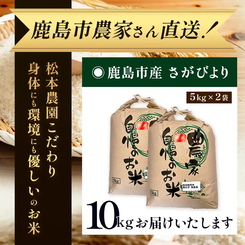 先行受付 令和8年産 新米 さがびより 10kg 佐賀県産 特A評価獲得品種 白米 米 お米 こめ 佐賀県 鹿島市 D-302