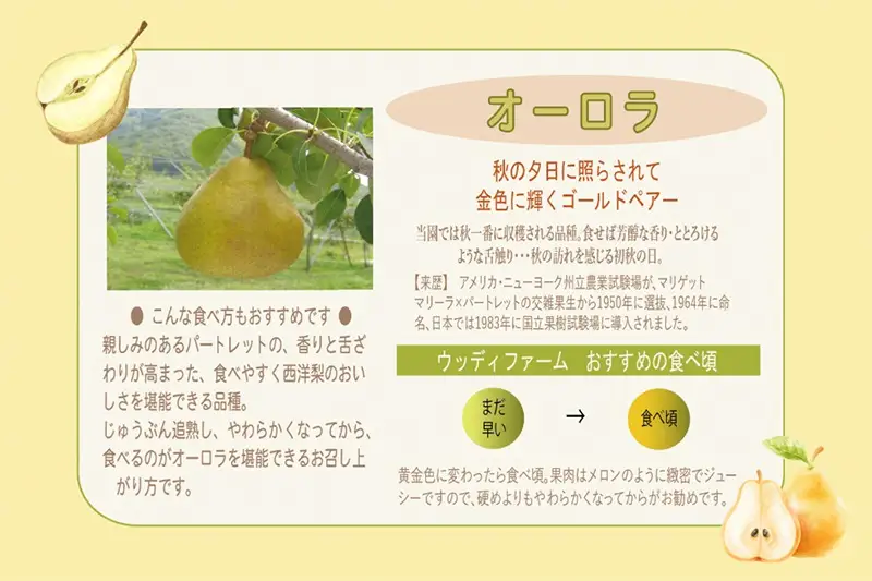西洋梨（オーロラ）３ｋｇ　１０玉　３Ｌ　ご家庭用　0062-2603