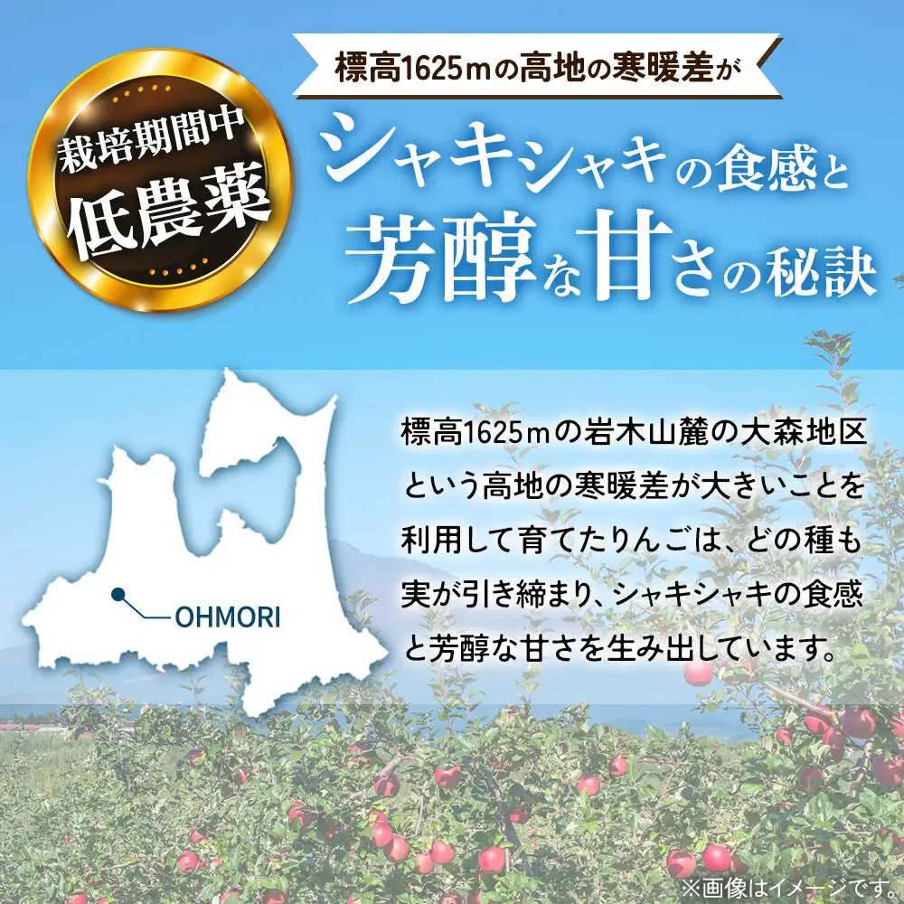 【26年11月下旬～発送】りんご 葉とらず ふじ【上級品】約3kg 先行受付 青森県 弘前市 果物 フルーツ 林檎 リンゴ くだもの ギフト 贈り物 贈答
