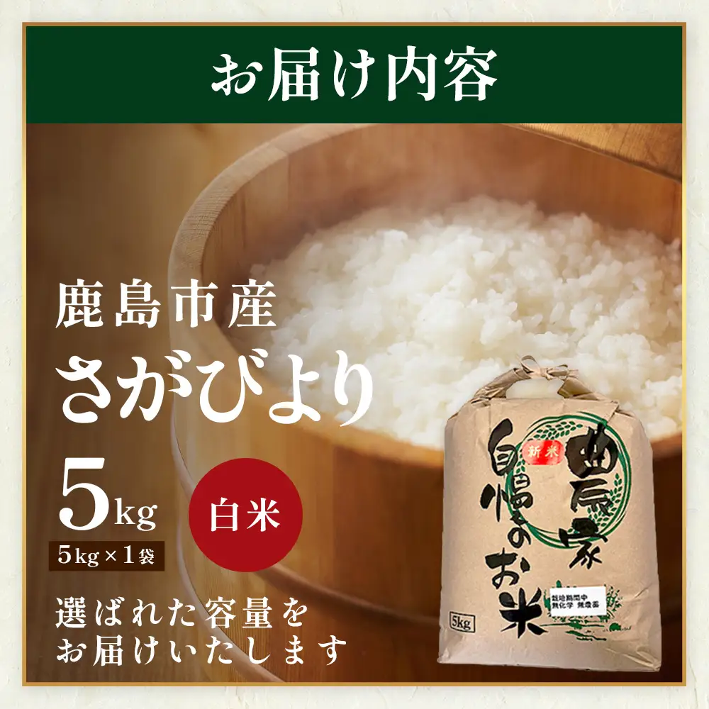 先行受付 令和8年産 新米 さがびより 5kg 佐賀県産 特A評価獲得品種 白米 米 お米 こめ 佐賀県 鹿島市 C-203
