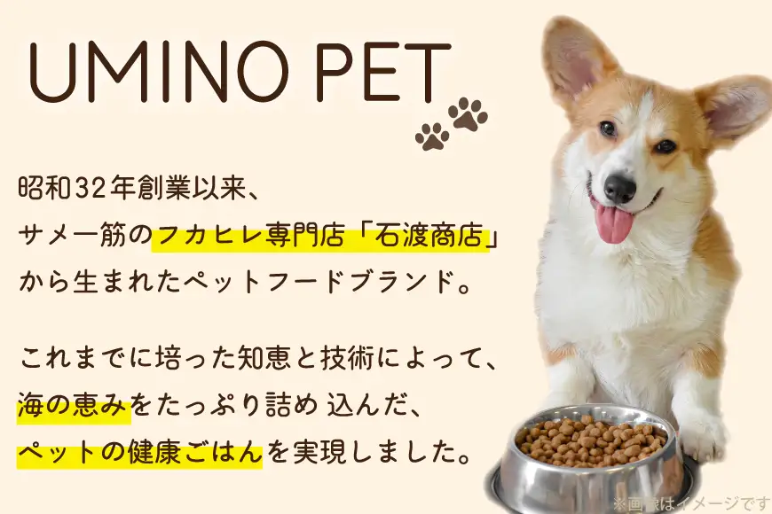 ドッグフード UMINO PET 総合栄養食 800g 6袋