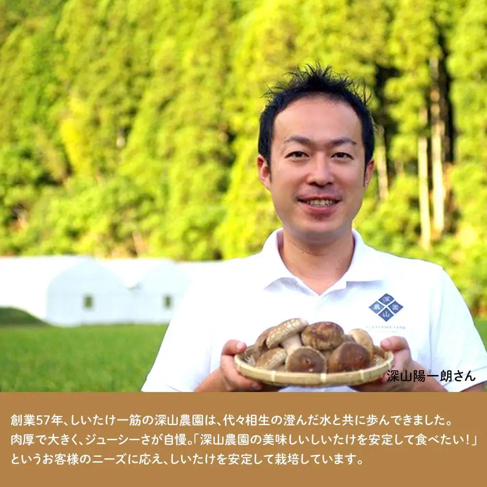 【有機】深山農園の 有機 中身美人の新鮮しいたけ ～アウトレット～750g