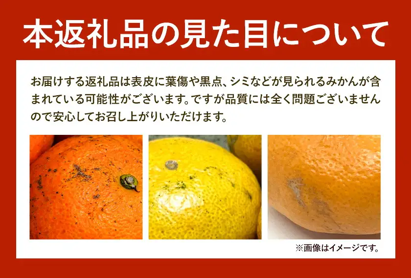 日高川町産みかん 選べる 約5kg 2S-M サイズおまかせ マル二