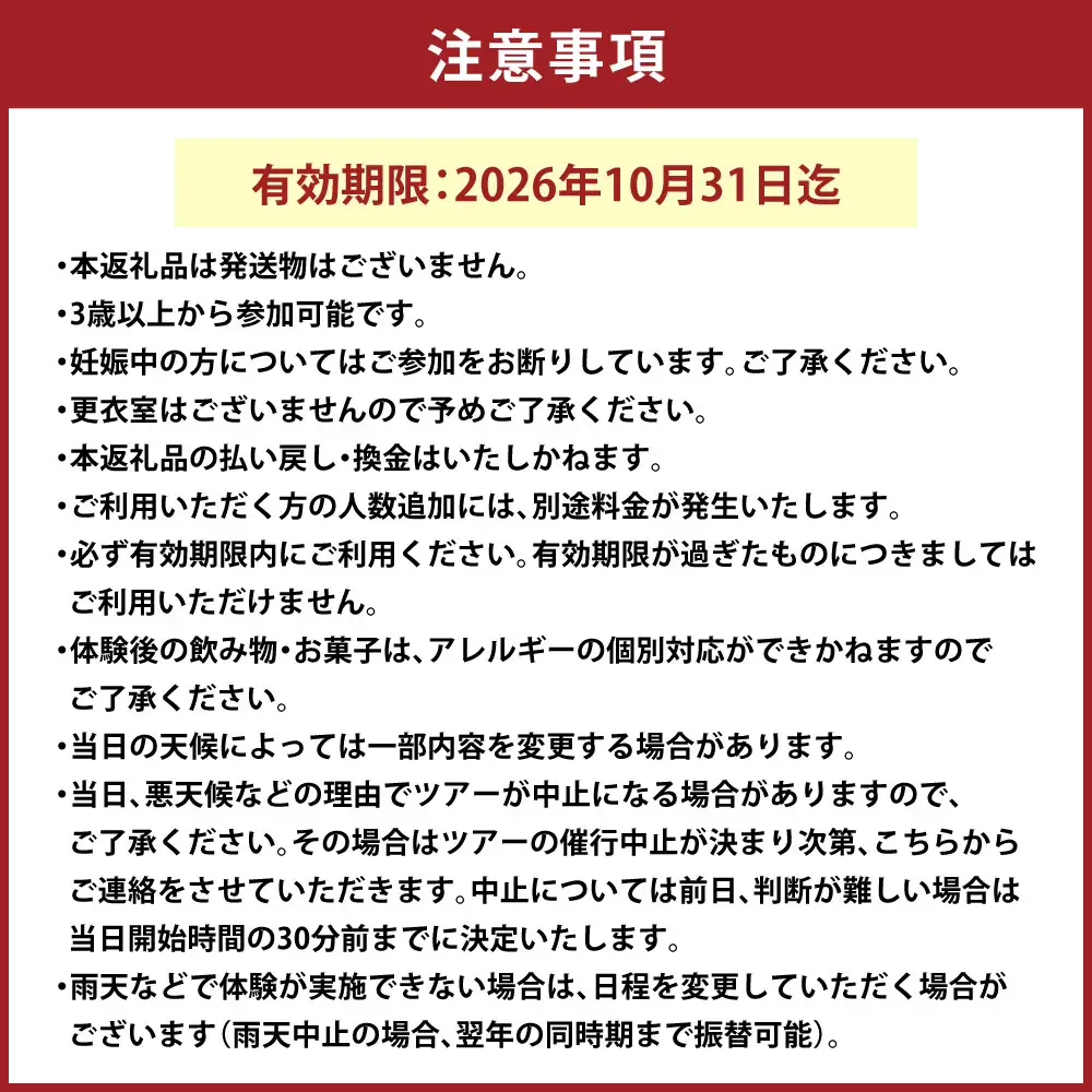 貸し切りツアー 大人2名様分 カナディアンカヌーで行く阿寒湖早朝散歩 体験 観光 国内旅行 旅行 カヌー 国立公園阿寒湖 お出かけ ツアー 貸切 早朝 阿寒湖 国立公園 予約 【 開催期間2026年10月31日迄 】