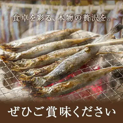 シシャモ 20匹 オス メス 石崎水産 ししゃも
