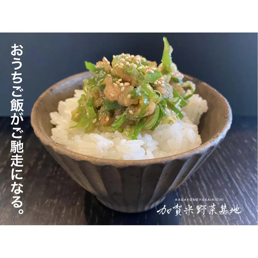 《令和8年産 新米 先行予約》【お米グランプリ3部門受賞】＜有機JAS認証米＞日本一粒の大きいお米『いのちの壱』玄米10kg