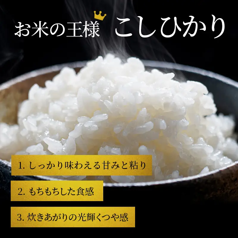 【令和8年産】 先行予約 新米 BG無洗米 コシヒカリ 10kg 10回定期便 令和8年産 定期便 米 無洗 無洗米こめ コメ お米 ご飯 米 こしひかり 米定期便 10か月定期便 10ヶ月定期便 10回 10ヶ月 10か月 滋賀県 豊郷 豊郷町