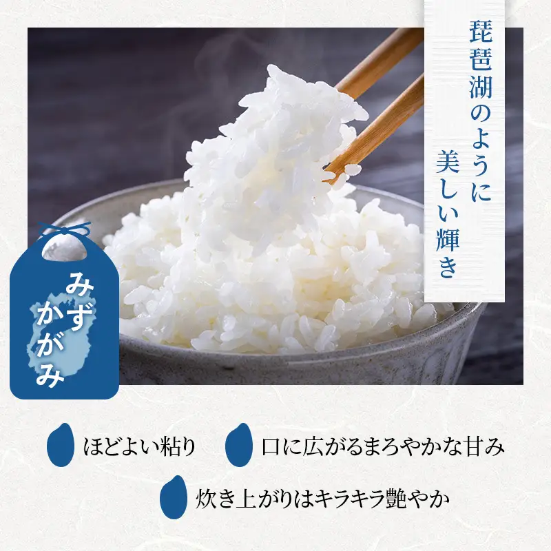 【令和8年産】 先行予約 新米 BG無洗米 みずかがみ 10kg 6回定期便 令和8年産 定期便 米 無洗 無洗米こめ コメ お米 ご飯 米 ミズカガミ 米定期便 6か月定期便 6ヶ月定期便 6回 6ヶ月 6か月 滋賀県 豊郷 豊郷町