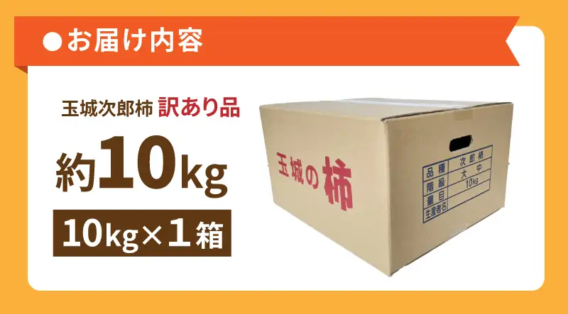 【先行予約】2026年度発送 玉城町産玉城次郎柿 訳あり品 約10kg (クレジット申込限定)