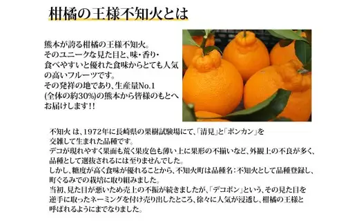 ＜ R8年熊本地震復興支援 ＞訳あり不知火 2kg 不知火 しらぬい デコみかん みかん ミカン 果物 くだもの フルーツ 柑橘類 柑橘系 柑橘 果実 国産 熊本県産 【 2027年1月下旬～4月下旬発送予定 】