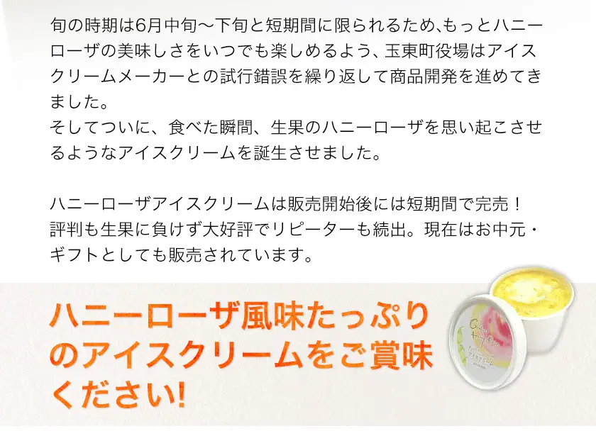 糖度17度の甘さ♪ハニーローザアイスクリーム 120ml 6個 熊本県 玉名郡 玉東町 すもも ハニーローザ アイス ぷらっとぎょくとう