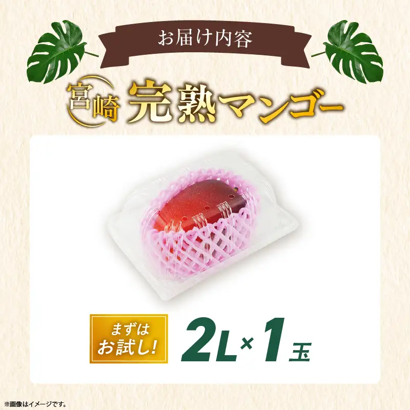 先行予約 数量限定 完熟マンゴー 2L×1玉（パック）マンゴー 宮崎 果物 フルーツ くだもの 2027年 国産 高級 マンゴージュース 南国フルーツ おすすめ デザート ギフト 贈り物 プレゼント 贈答 冷蔵 綾町 送料無料 【JA綾町】_A0114-263