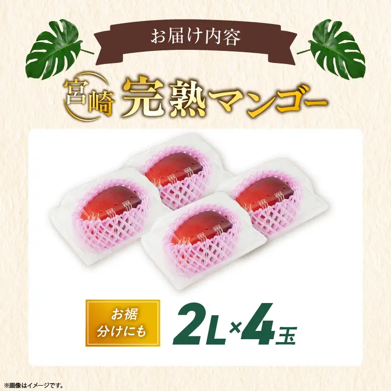 先行予約 数量限定 完熟マンゴー 2L×4玉（パック）マンゴー 宮崎 果物 フルーツ くだもの 2027年 国産 高級 マンゴージュース 南国フルーツ おすすめ デザート ギフト 贈り物 プレゼント 贈答 冷蔵 綾町 送料無料 【JA綾町】_A0114-264