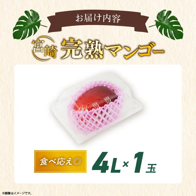 先行予約 数量限定 完熟マンゴー 4L×1玉（パック）マンゴー 宮崎 果物 フルーツ くだもの 2027年 国産 高級 マンゴージュース 南国フルーツ おすすめ デザート ギフト 贈り物 プレゼント 贈答 冷蔵 綾町 送料無料 【JA綾町】_A0114-265