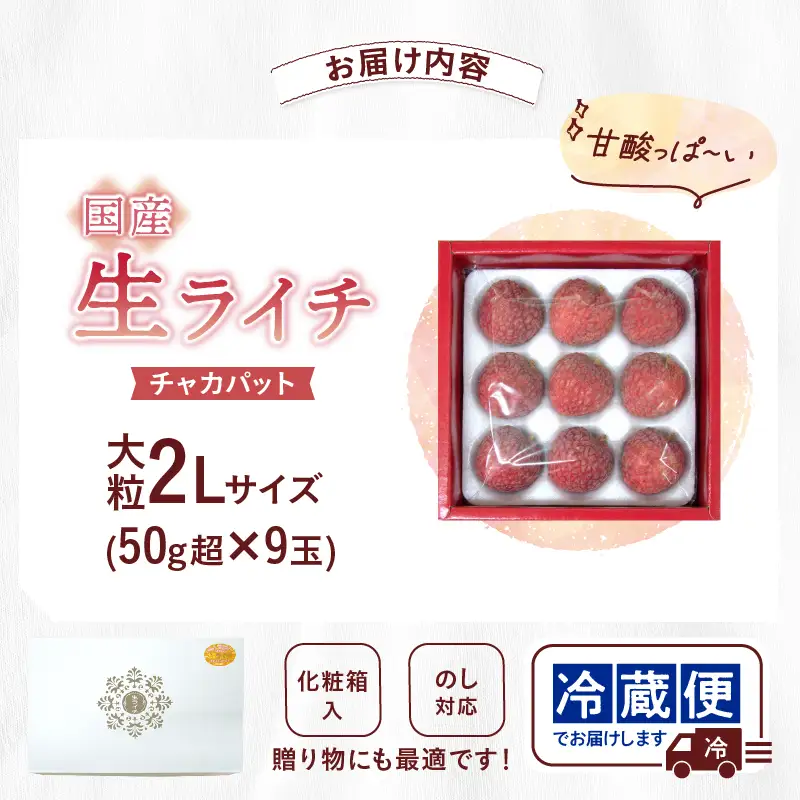 先行予約 数量限定 希少 国産 綾 生ライチ 大粒 2L サイズ（化粧箱入り）果物 フルーツ くだもの 国産ライチ 2027年 トロピカルフルーツ 南国フルーツ 冷蔵 ジューシー 高級 デザート ギフト 贈り物 プレゼント ご褒美 宮崎県 送料無料【JA綾町】_A0114-266