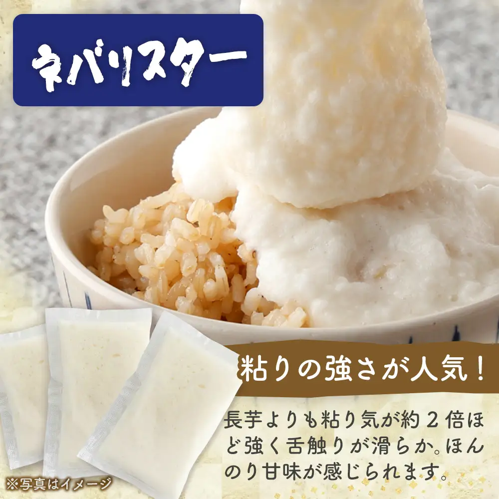 冷凍ネバリスターとろろパック(プレーン)+冷凍長芋とろろパック(プレーン＋明太＋味付)　4種 各50g×5個【長芋 ネバリスター とろろ 粘り 冷凍 小分け パック 味付 個包装 簡単 便利 贈り物 贈答 ギフト 青森県 東北】【02402-0663】