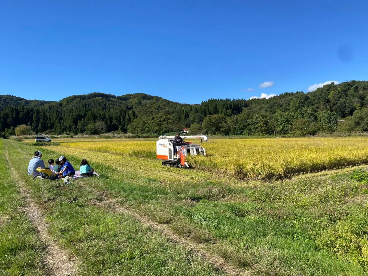 【令和８年産米 先行予約】山形県小国町産　はえぬき5kg　きせつ家