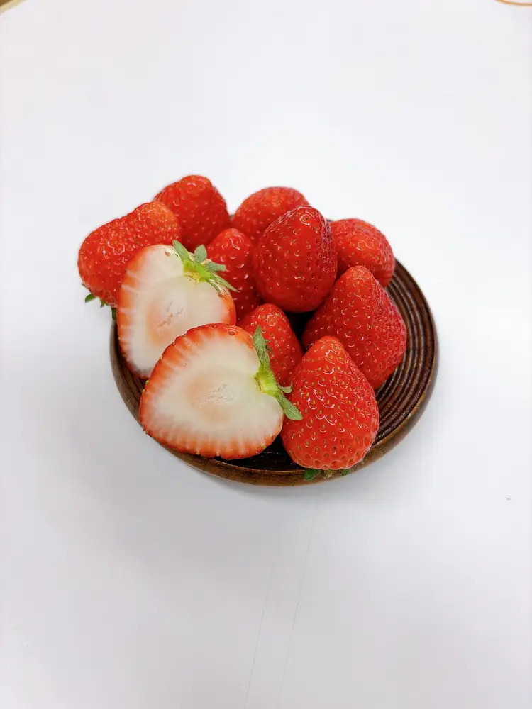 ＜先行受付＞栃木県産 とちあいか 1kg(250g×4パック) | 苺 イチゴ 国産 数量限定 ブランド ふるさと納税 フルーツ 果物※2027年1月～発送
