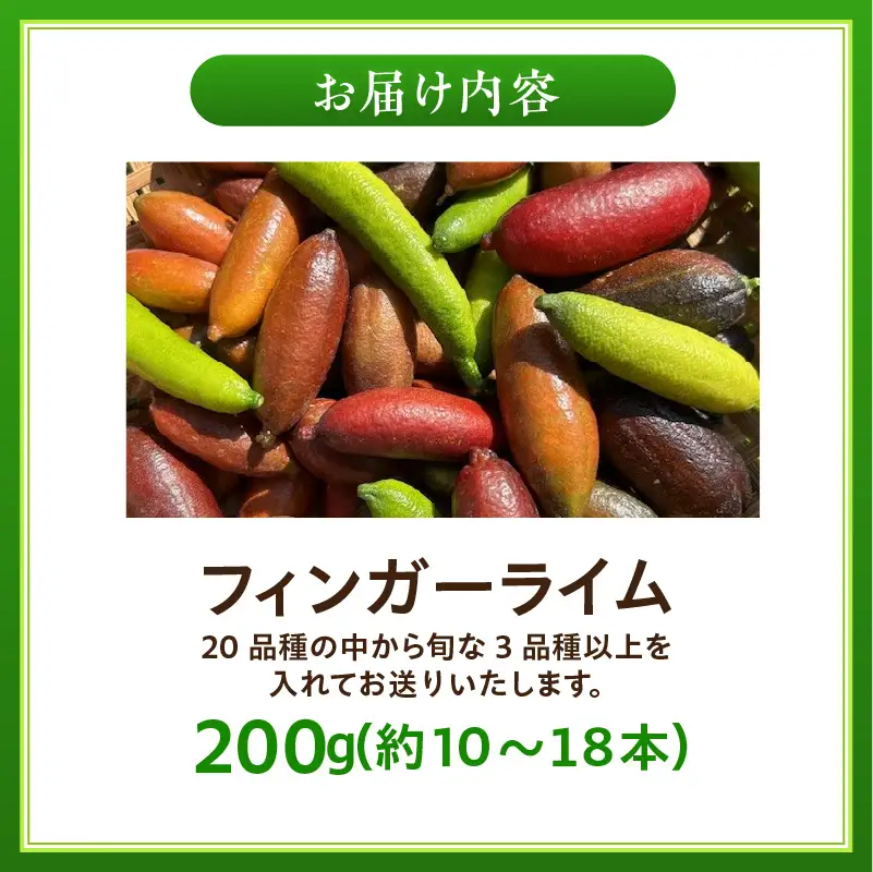 新感覚つぶつぶ食感！フィンガーライム　200ｇ（約10～18本）｜フルーツ