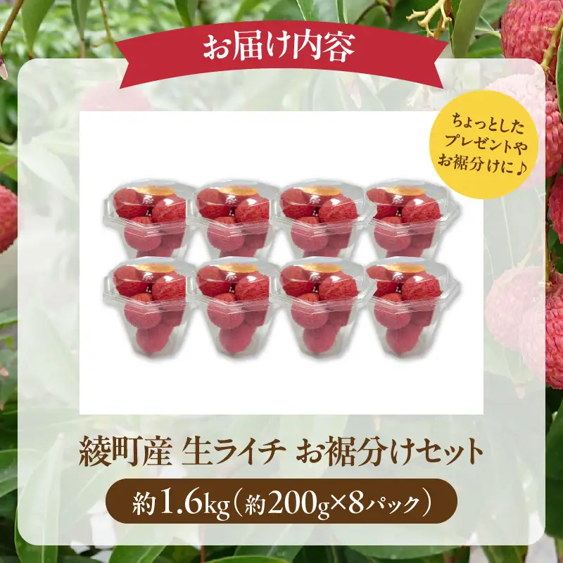 先行予約 数量限定 希少 綾生ライチ お裾分け セット 1.6kg 果物 フルーツ くだもの 国産ライチ 2027年 トロピカルフルーツ 南国フルーツ 冷蔵 ジューシー 高級 デザート ギフト 贈り物 プレゼント ご褒美 おすすめ 宮崎県 送料無料 【JA綾町】_A0114-267