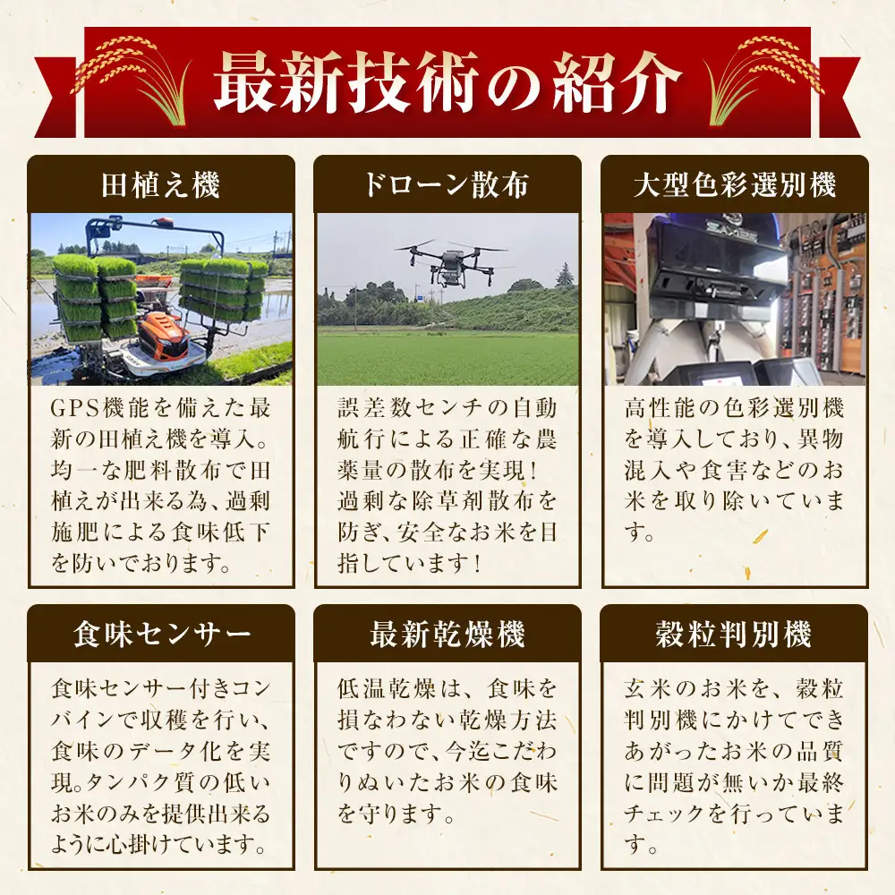 【先行予約受付】≪10月上旬発送≫令和８年産 大田原市 藤田farmのコシヒカリ【白米】5kg ｜栃木県産 米 お米  コメ こしひかり コシヒカリ 栃木県 【選べる容量】5kg 10kg  数量限定