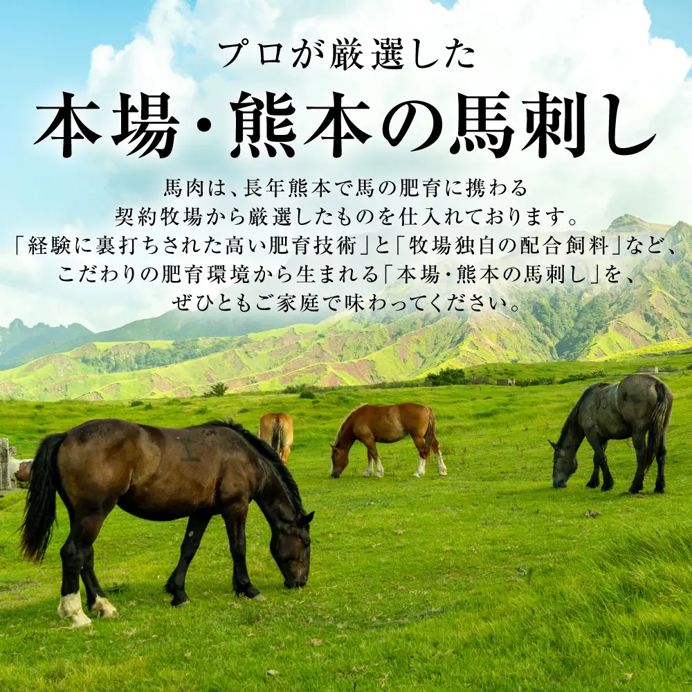 馬肉 国産 馬刺し 4種 計280g （ 上赤身100g、フタエゴ50g、コウネ30g、ユッケ100g ） 馬肉 