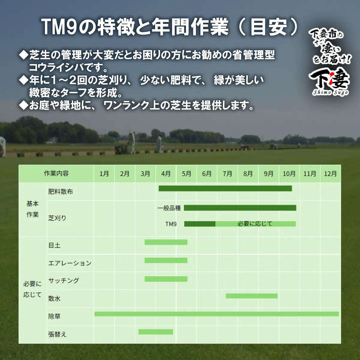 【先行予約】6㎡分 省管理型プレミアム高麗芝 「TM9（芝生）」コウライシバ ティーエムナイン 【2027年3月下旬頃から出荷予定】