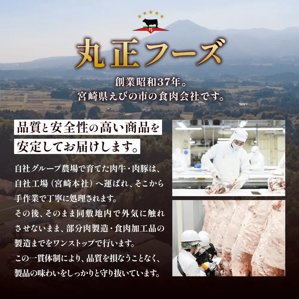切れてる！赤身が美味しい宮崎県産黒牛 ローストビーフ100g×8パック