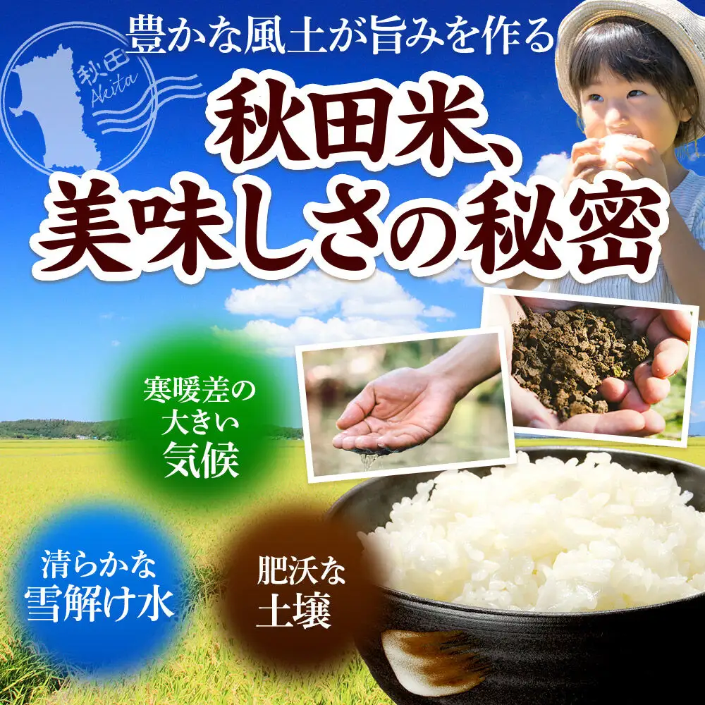 《令和8年産 新米》《定期便5ヶ月》米 あきたこまち 5kg【白米】秋田県産