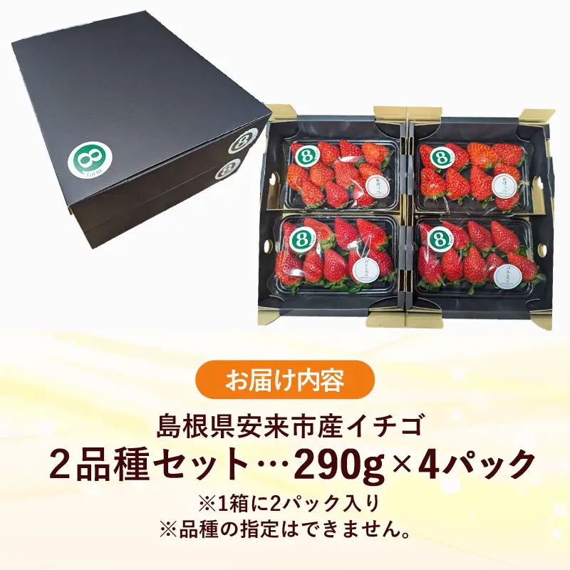 【先行予約】イチゴ2品種 4パックセット【 約290g×4パック 約1160g 食べ比べ いちご 苺 ストロベリー 冷蔵 安来市産】【16-FA-05】