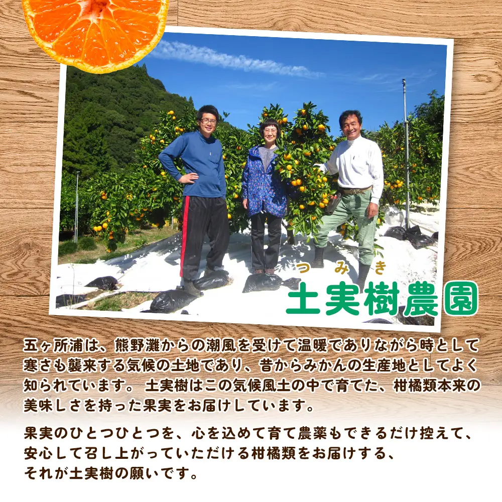 「完熟こつぶみかん」100%ストレートジュース 720ml×3本 三重県 南伊勢町 / 土実樹農園 くだもの 果物 フルーツ みかん ミカンジュース みかんジュース ジュース 三重県産 南伊勢町産 産地直送 伊勢志摩 贈答 ギフト