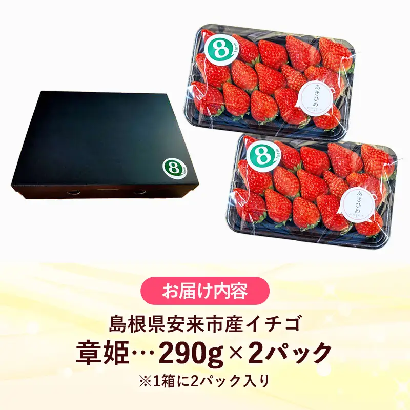 【先行予約】 章姫 2パック 【 約290g×2パック あきひめ イチゴ いちご 苺 ストロベリー 冷蔵 安来市産】【10-FA-08】