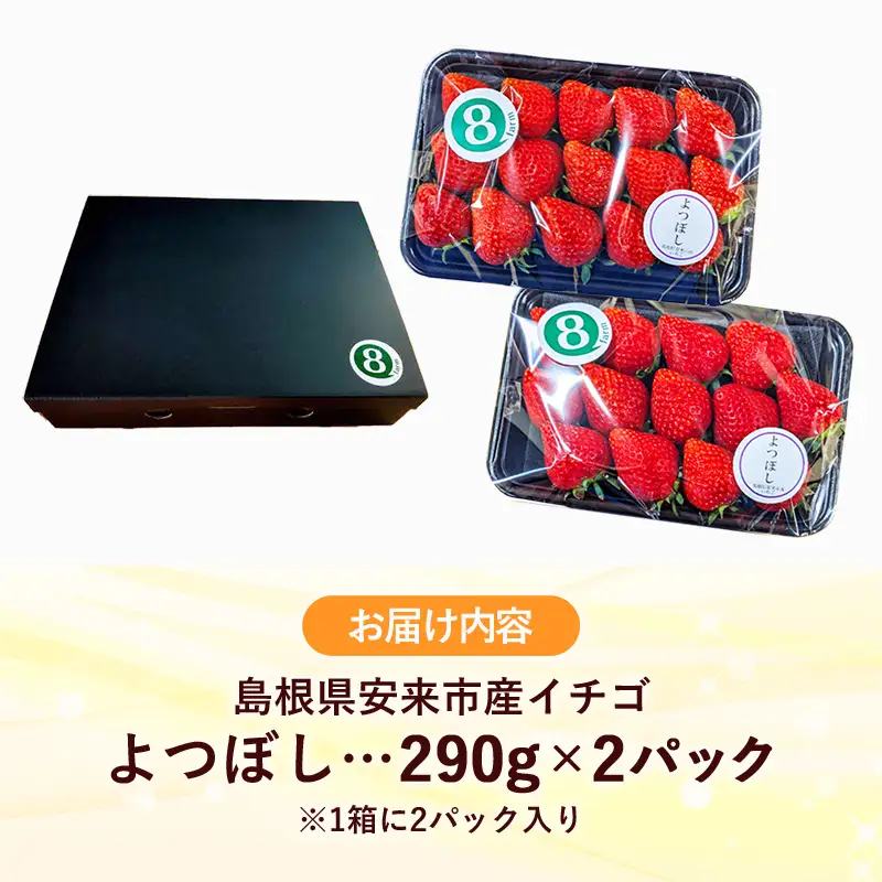 【先行予約】 よつぼし 2パック 【 約290g×2パック 四つ星 イチゴ いちご 苺 ストロベリー 冷蔵 安来市産】【10-FA-12】