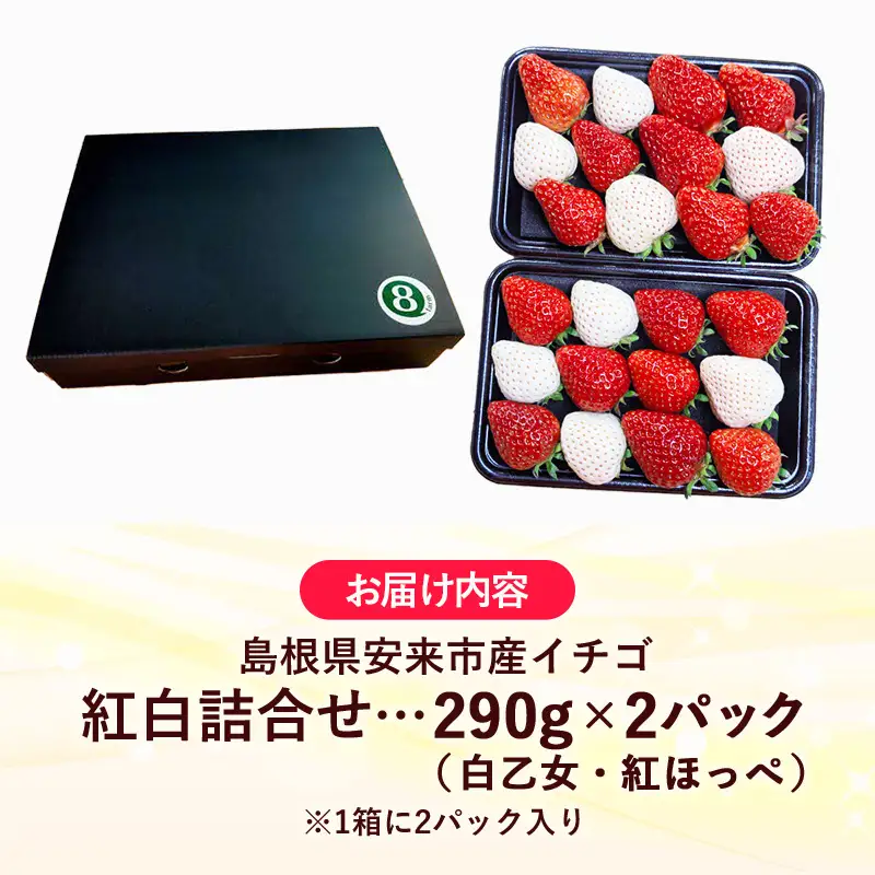【先行予約】イチゴ「紅白詰合せ」２パック【 約290g×2パック 白乙女 紅ほっぺ 食べ比べ いちご 苺 ストロベリー 冷蔵 安来市産】【10-FA-14】