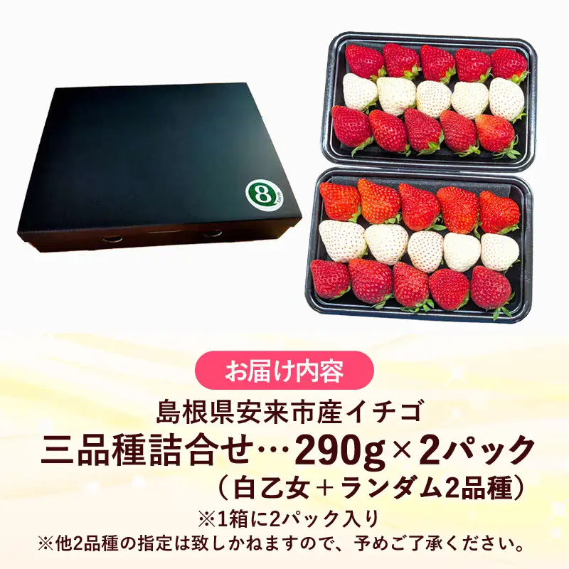 【先行予約】イチゴ「三品種詰合せ」２パック（白イチゴ入）【 約290g×2パック 白乙女 おまかせ 3品種 食べ比べ いちご 苺 ストロベリー 冷蔵 安来市産】【11-FA-15】