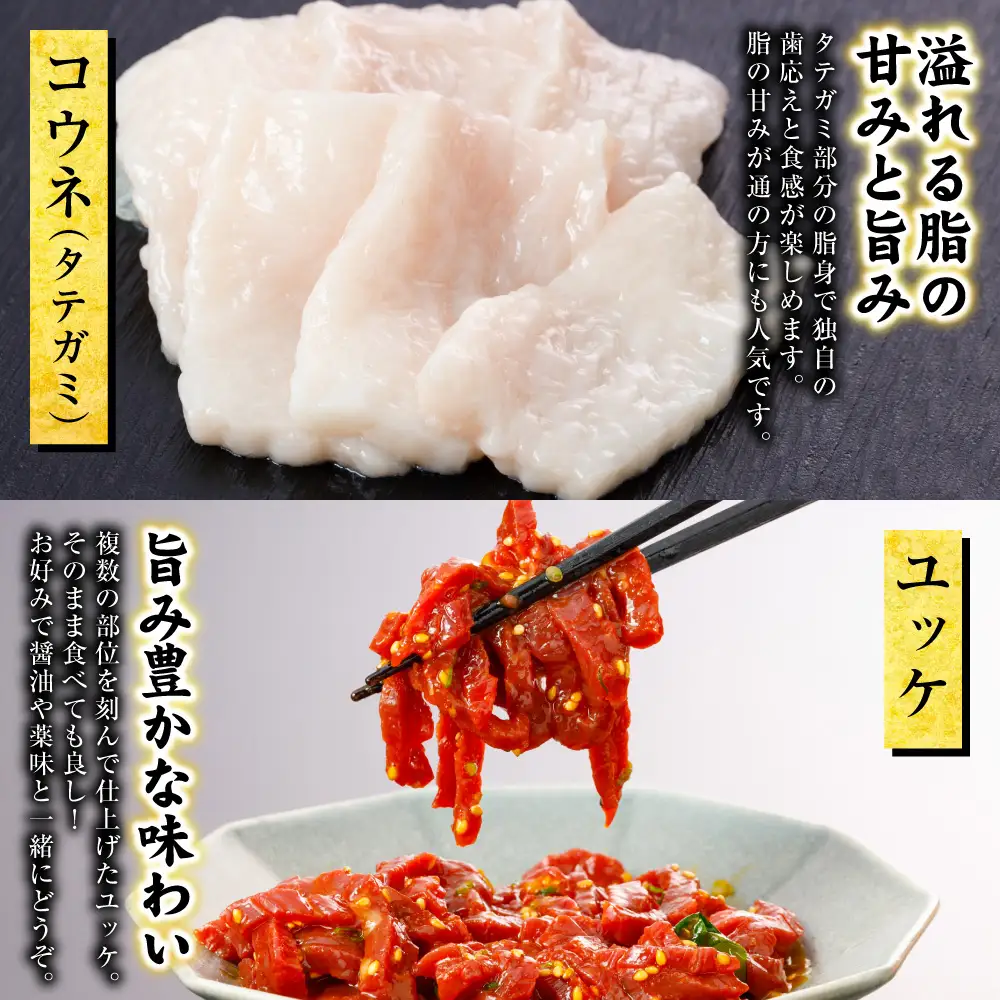 馬肉 国産 馬刺し 5種 計230g （上赤身50g、ロース50g、中トロ50g、コウネ30g、ユッケ50g）馬肉