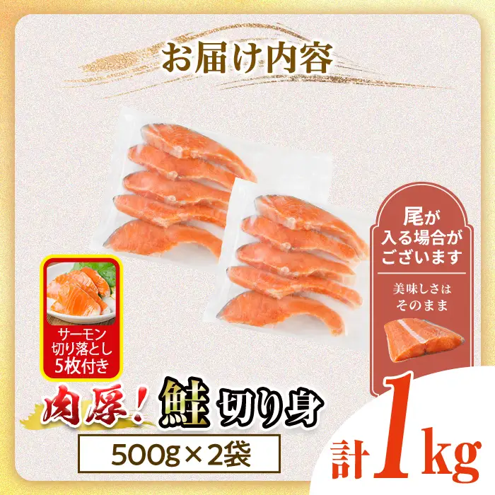 肉厚 鮭 切り身(計1kg・500g×2P)  サーモン切り落とし5枚付き！ 塩鮭 冷凍 厚切【AW-136】【丸正水産】