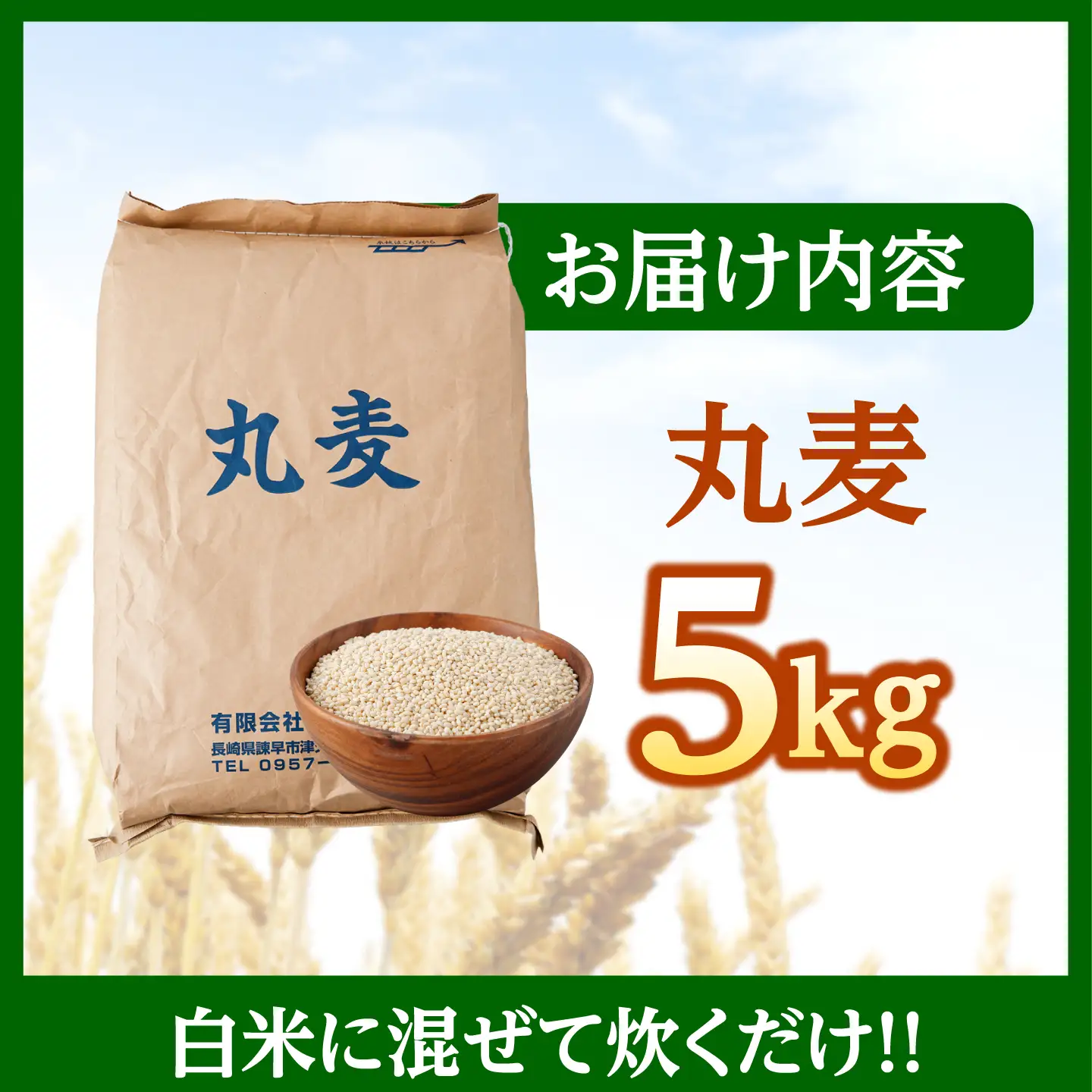 【7日以内に発送】長崎県産 丸麦 5kg / 麦 むぎ 雑穀 雑穀米 麦ごはん 麦飯 麦みそ 食物繊維 / 諫早市 / 有限会社伊東精麦[AHBU019]